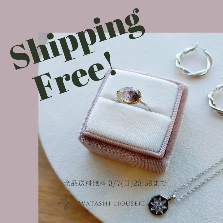 Free Shipping Campaign !